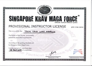 Krav Maga Instructor 2015