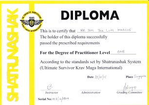 Marcus Tam Krav Maga P1 2015