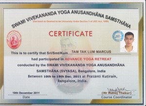 marcus tam yoga cert 2